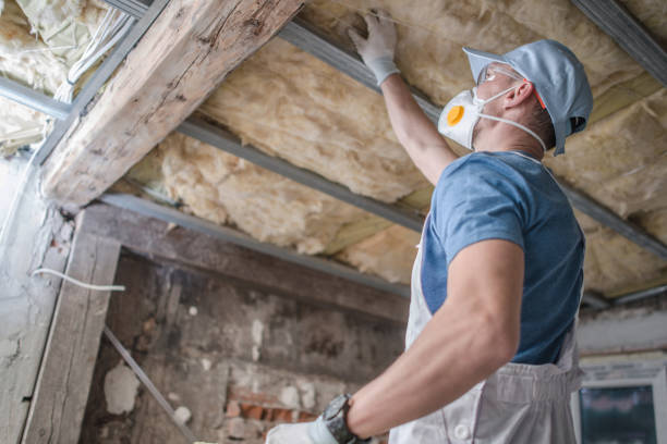 Best DIY Insulation Kits and Guidance in Underwood, IA